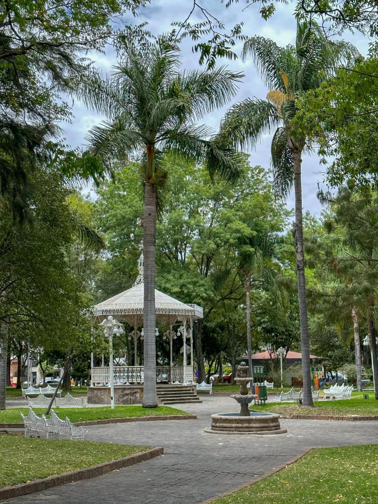 Suite Con Terraza En En El Corazon De Chapalita 11 Guadalajara Buitenkant foto