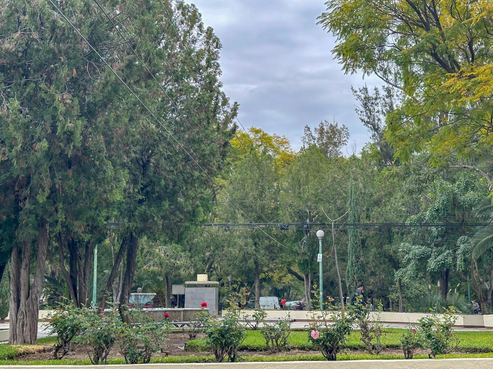 Suite Con Terraza En En El Corazon De Chapalita 11 Guadalajara Buitenkant foto